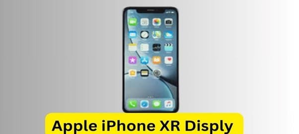 Apple iPhone XR Display