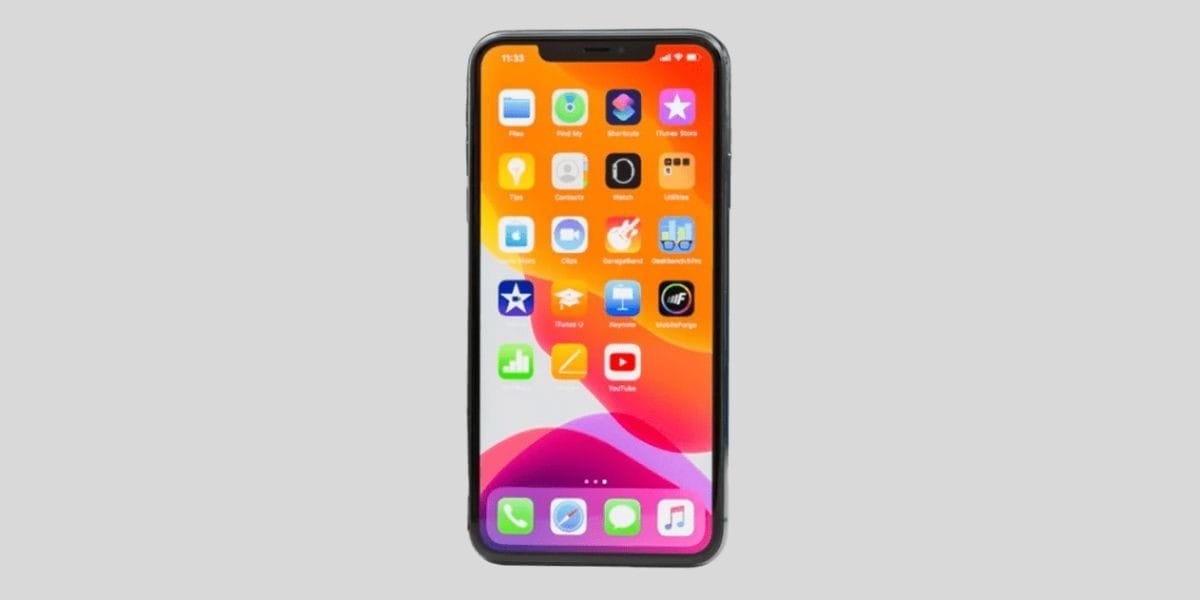 iPhone 11 Pro max display