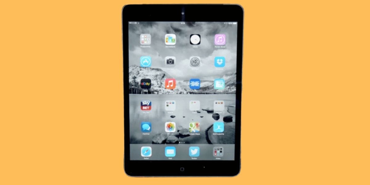 Apple iPad Mini 2 Connectivity