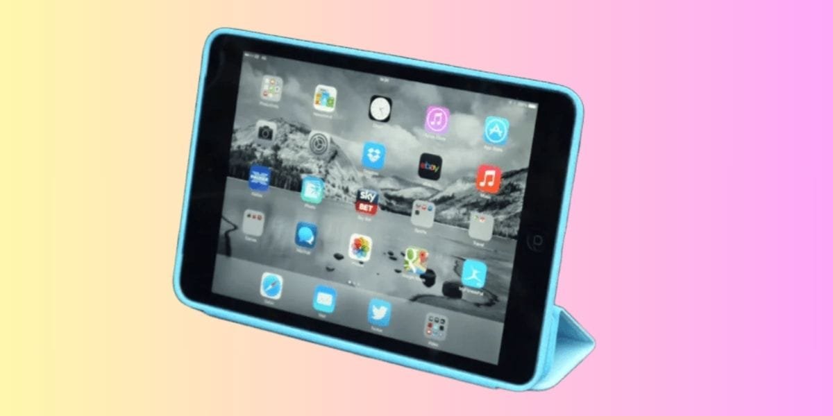 Apple iPad Mini 2 Display